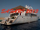Safari 2013