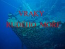 Vraky Rudého moře