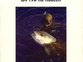 Spearfishing lov rýb na nádech