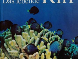 Das lebende Riff