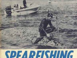 Spearfishing in Wictoria