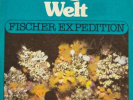 Die schweigende Welt