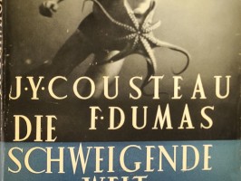 Die schweigende Welt
