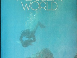 The Silent World