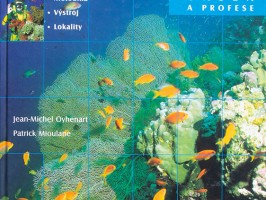 Potápění, vášeň a profese