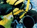 Katalog potápěčské americké firmy U.S.Divers Co z roku 1970.