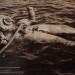 Potápěč po výstupu na hladinu -  ze sbírky fotografií W. Wachowského.