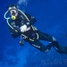 Honza Musil – Claudia Reef.