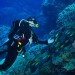 Honza Musil – Claudia Reef.