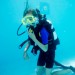 Katka – volné potápění s akvalungem. 