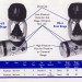 Sea Hornet SCUBA Regulator Manual.