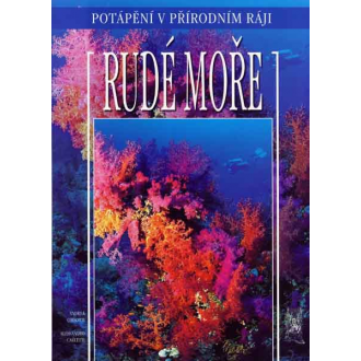 Rudé moře - Potápění v přírodním ráji