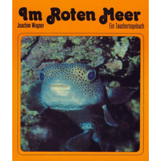 Im Roten Meer