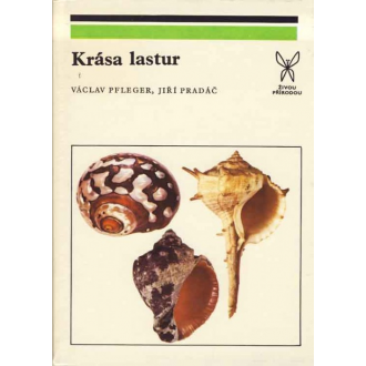 Krása lastur
